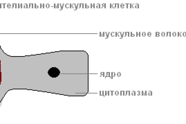 Почему не получается зайти на кракен